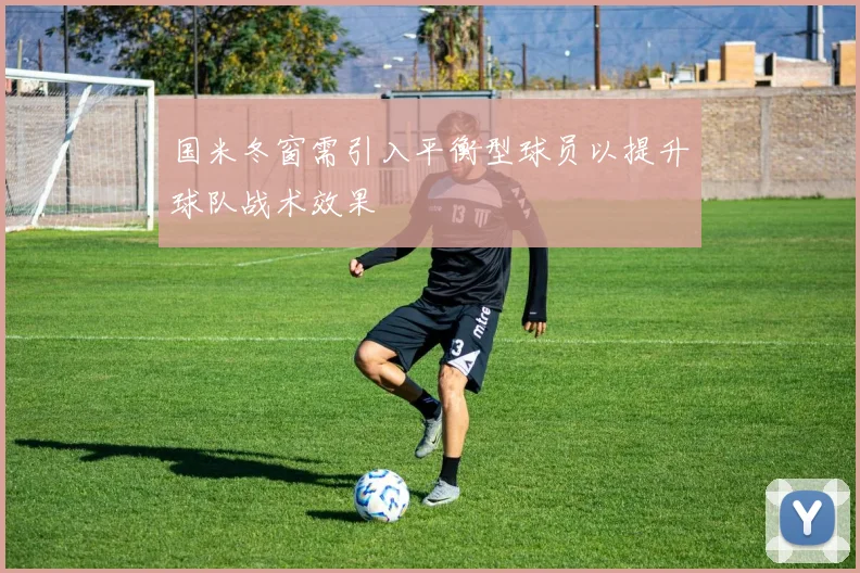 国米冬窗需引入平衡型球员以提升球队战术效果